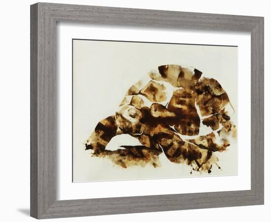 Tortoise Shell-Sydney Edmunds-Framed Giclee Print