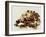 Tortoise Shell-Sydney Edmunds-Framed Giclee Print