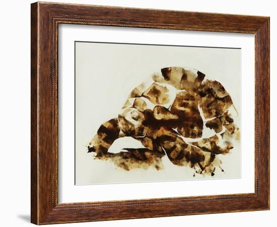 Tortoise Shell-Sydney Edmunds-Framed Giclee Print