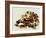 Tortoise Shell-Sydney Edmunds-Framed Giclee Print