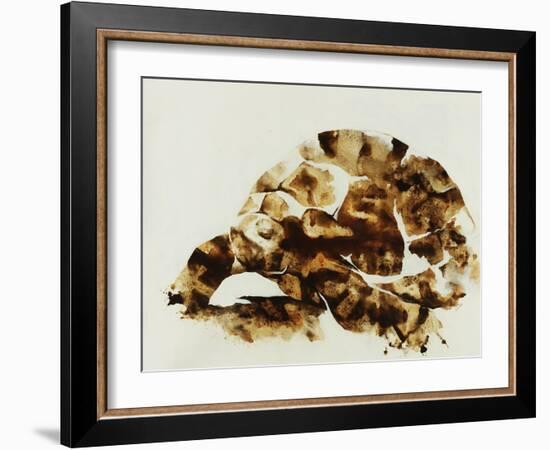 Tortoise Shell-Sydney Edmunds-Framed Giclee Print