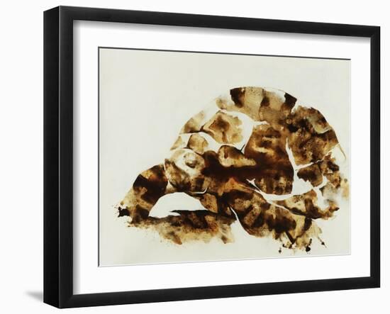 Tortoise Shell-Sydney Edmunds-Framed Giclee Print