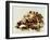 Tortoise Shell-Sydney Edmunds-Framed Giclee Print