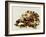 Tortoise Shell-Sydney Edmunds-Framed Giclee Print