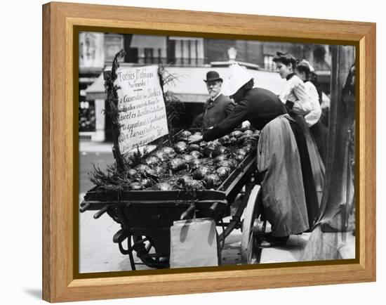 Tortoises from Africa in Paris Animal Market, 20th Century-Andrew Pitcairn-knowles-Framed Premier Image Canvas