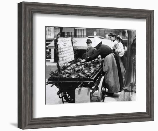 Tortoises from Africa in Paris Animal Market, 20th Century-Andrew Pitcairn-knowles-Framed Giclee Print