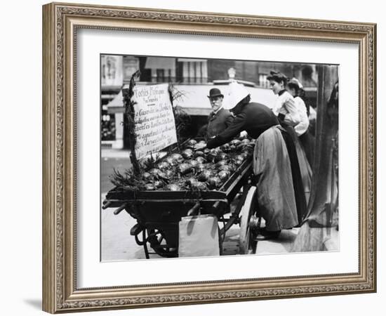 Tortoises from Africa in Paris Animal Market, 20th Century-Andrew Pitcairn-knowles-Framed Giclee Print