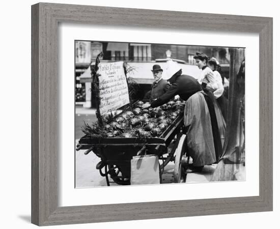Tortoises from Africa in Paris Animal Market, 20th Century-Andrew Pitcairn-knowles-Framed Giclee Print