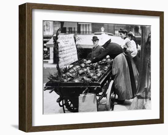 Tortoises from Africa in Paris Animal Market, 20th Century-Andrew Pitcairn-knowles-Framed Giclee Print