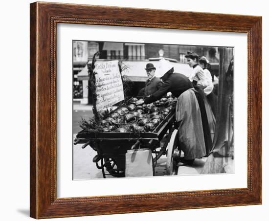 Tortoises from Africa in Paris Animal Market, 20th Century-Andrew Pitcairn-knowles-Framed Giclee Print