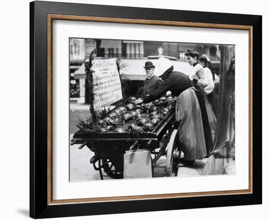 Tortoises from Africa in Paris Animal Market, 20th Century-Andrew Pitcairn-knowles-Framed Giclee Print