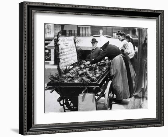 Tortoises from Africa in Paris Animal Market, 20th Century-Andrew Pitcairn-knowles-Framed Giclee Print