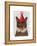 Tortoiseshell Cat, Party Hat-Fab Funky-Framed Stretched Canvas