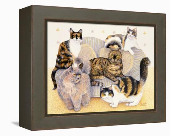 Tortoiseshell Ladies-Pat Scott-Framed Premier Image Canvas