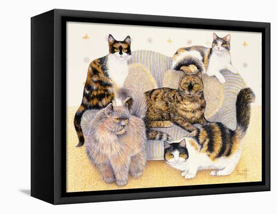 Tortoiseshell Ladies-Pat Scott-Framed Premier Image Canvas