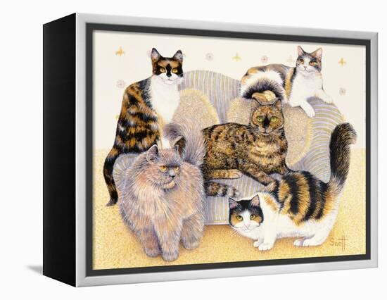 Tortoiseshell Ladies-Pat Scott-Framed Premier Image Canvas