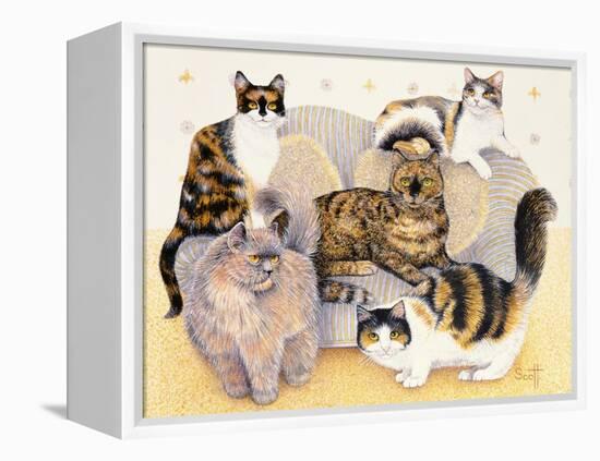 Tortoiseshell Ladies-Pat Scott-Framed Premier Image Canvas