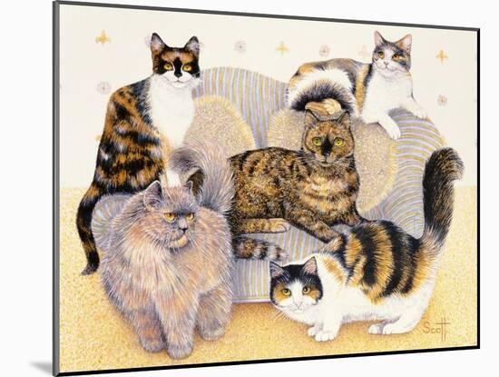 Tortoiseshell Ladies-Pat Scott-Mounted Giclee Print