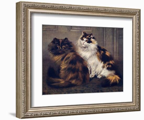 Tortoiseshell Persians-W. Luker-Framed Photographic Print