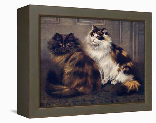 Tortoiseshell Persians-W. Luker-Framed Premier Image Canvas