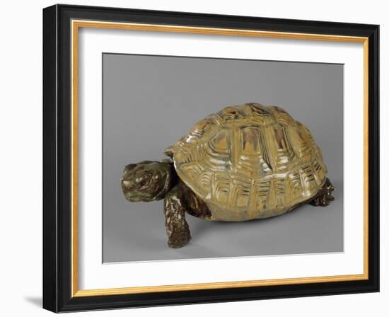 Tortue-null-Framed Giclee Print