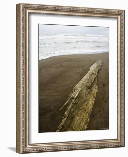 Tortuguero Beach, Caribbean Coast, Tortuguero National Park, Costa Rica, Central America-R H Productions-Framed Photographic Print