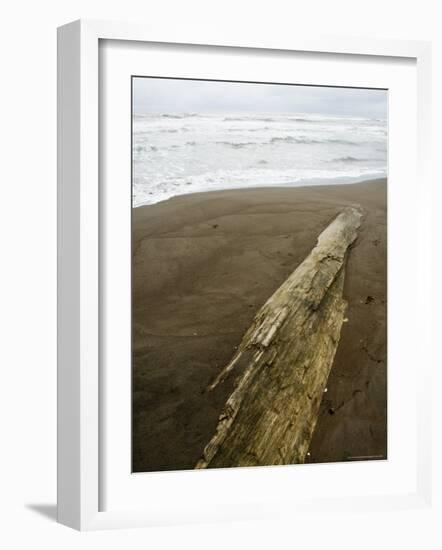 Tortuguero Beach, Caribbean Coast, Tortuguero National Park, Costa Rica, Central America-R H Productions-Framed Photographic Print