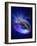 Torus Universe, Artwork-Mehau Kulyk-Framed Photographic Print