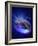 Torus Universe, Artwork-Mehau Kulyk-Framed Photographic Print