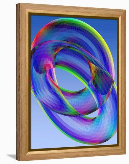 Torus-Eric Heller-Framed Premier Image Canvas