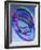 Torus-Eric Heller-Framed Photographic Print