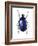 Torynorrhina Flower Beetle-Lawrence Lawry-Framed Photographic Print