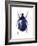 Torynorrhina Flower Beetle-Lawrence Lawry-Framed Photographic Print