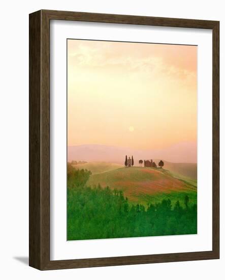 Toscana, Italia No. 717-Alan Klug-Framed Photographic Print