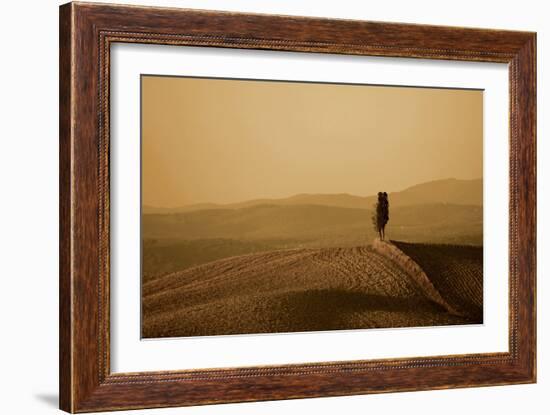 Toscana Landscape-PhotoINC-Framed Photographic Print