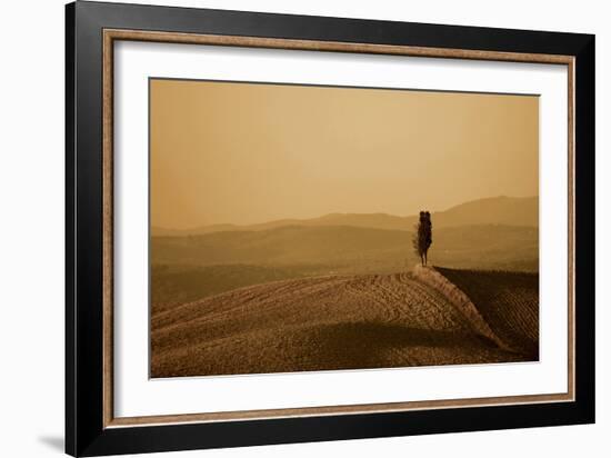 Toscana Landscape-PhotoINC-Framed Photographic Print