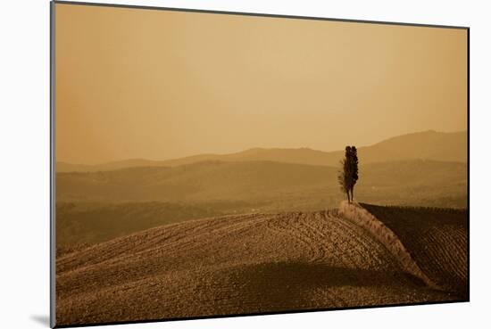 Toscana Landscape-PhotoINC-Mounted Photographic Print