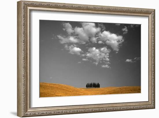 Toscana Landscape-PhotoINC-Framed Photographic Print