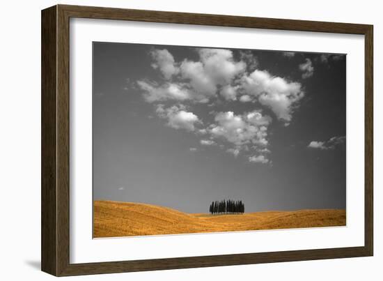 Toscana Landscape-PhotoINC-Framed Photographic Print