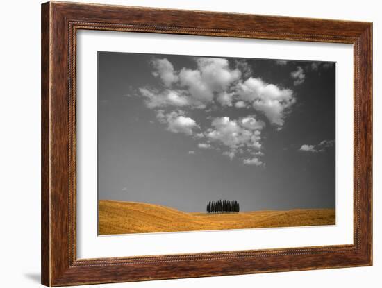 Toscana Landscape-PhotoINC-Framed Photographic Print