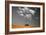 Toscana Landscape-PhotoINC-Framed Photographic Print