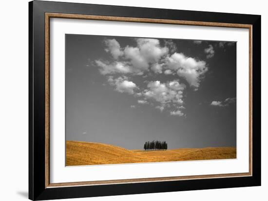 Toscana Landscape-PhotoINC-Framed Photographic Print