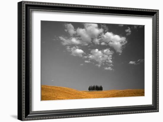 Toscana Landscape-PhotoINC-Framed Photographic Print