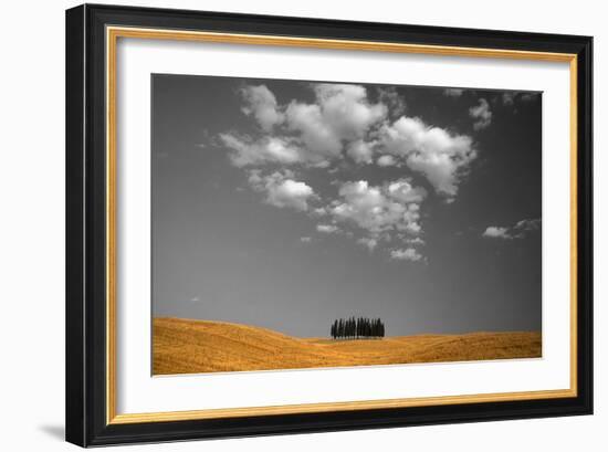 Toscana Landscape-PhotoINC-Framed Photographic Print