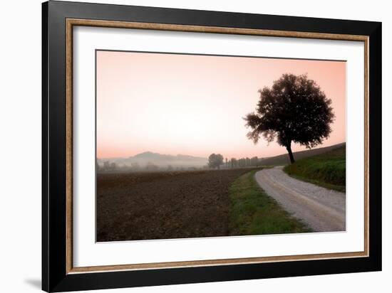 Toscana Valle No.1-Alan Blaustein-Framed Photographic Print