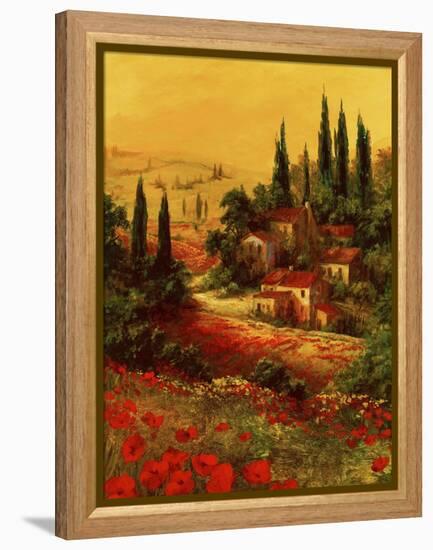 Toscano Valley I-Art Fronckowiak-Framed Stretched Canvas