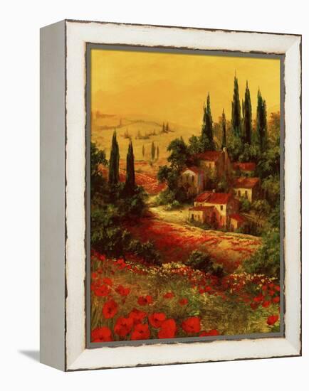 Toscano Valley I-Art Fronckowiak-Framed Stretched Canvas