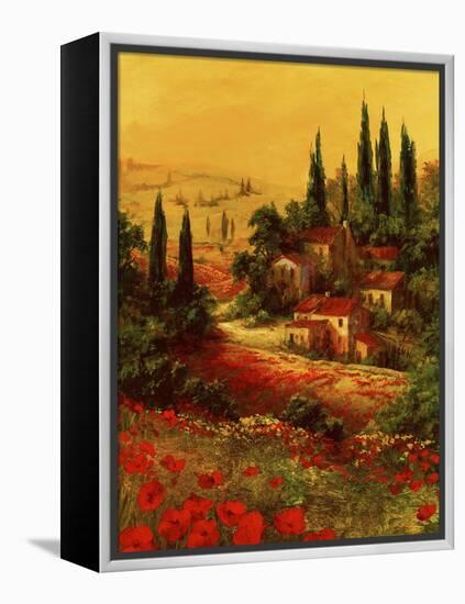 Toscano Valley I-Art Fronckowiak-Framed Stretched Canvas