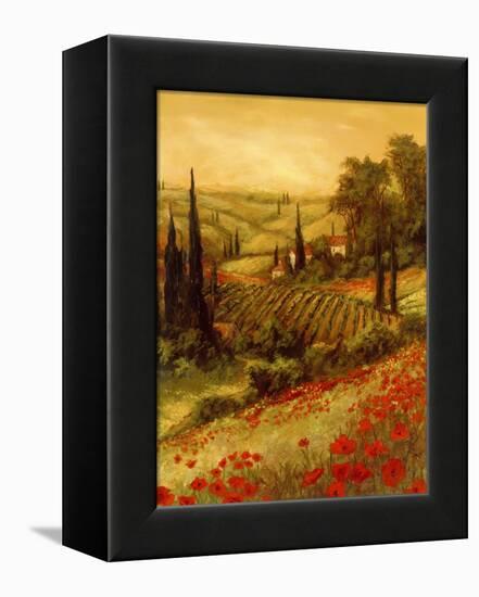 Toscano Valley II-Art Fronckowiak-Framed Stretched Canvas