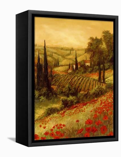 Toscano Valley II-Art Fronckowiak-Framed Stretched Canvas